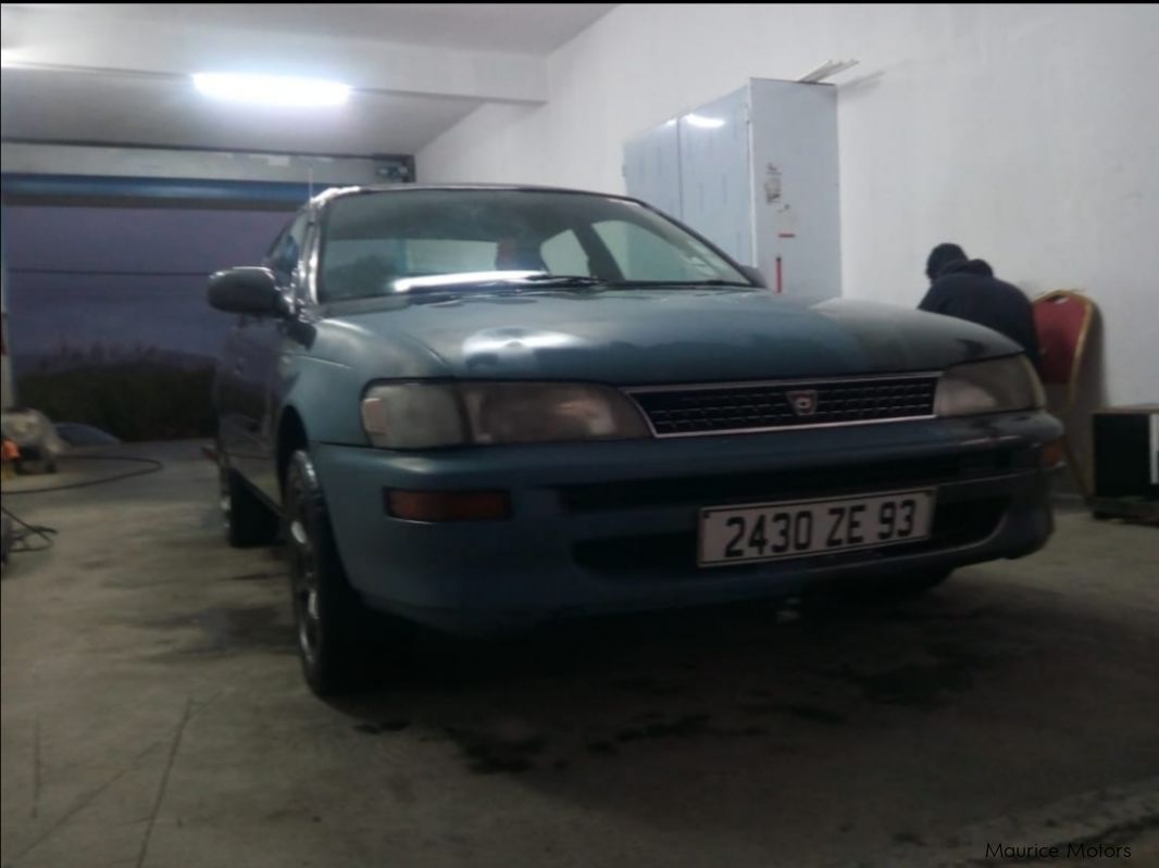 Used Toyota Corolla E101 1998 Corolla E101 for sale Melrose Toyota