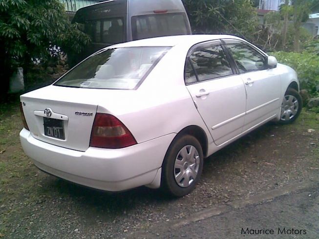 Used Toyota Corolla Nze Japan 2001 Corolla Nze Japan For
