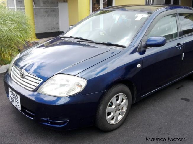 Used Toyota Corolla NZE  2002 Corolla NZE for sale 