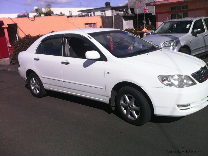 Used Toyota NZE 2003 NZE for sale La flora Toyota NZE sales