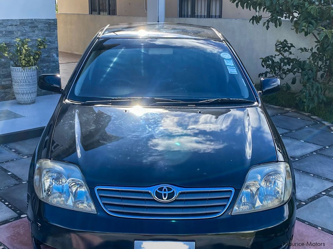 Used Toyota Nze 2005 Nze for sale Hermitage Toyota Nze sales