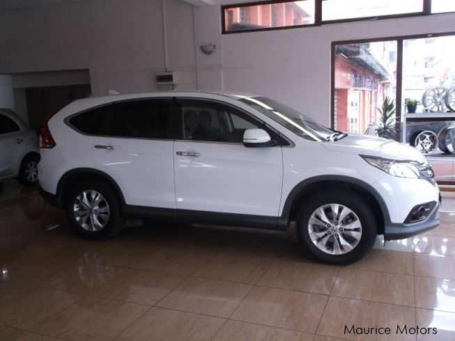 Honda Cr V Phoenix Used Cars Honda Cr V Phoenix Used Cars