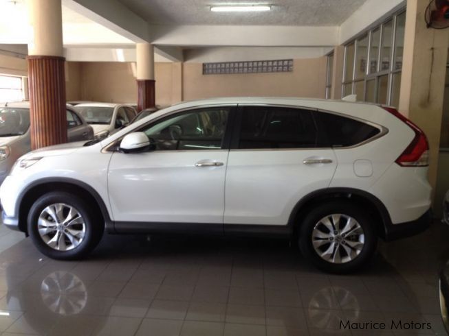 Used Honda CR-V - PEARL WHITE  2013 CR-V - PEARL WHITE 