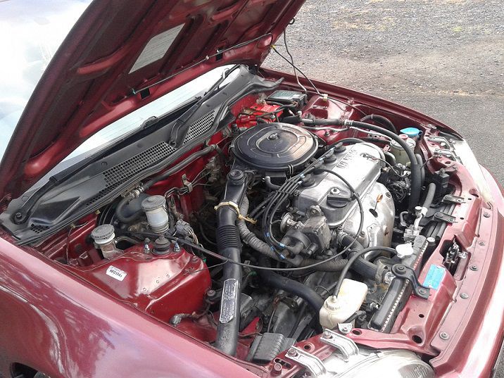 Honda Civic EG8 Bulldog in Mauritius