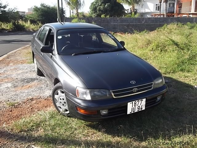 Toyota bulldog in Mauritius
