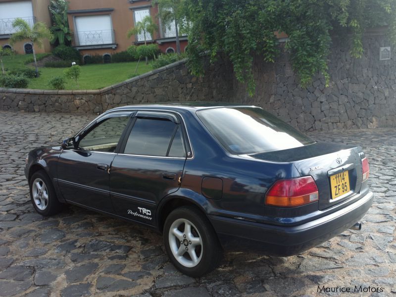 Toyota corolla in Mauritius