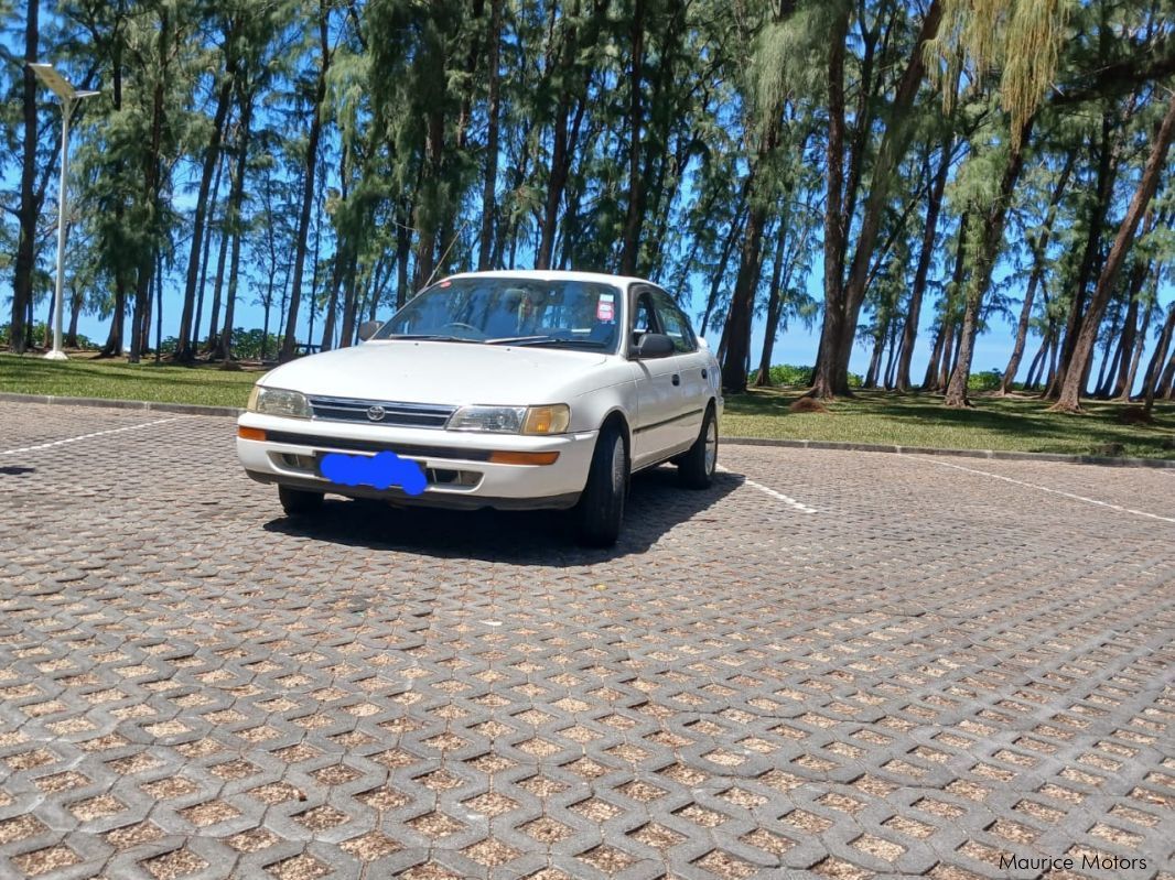 Toyota Corolla e100 in Mauritius