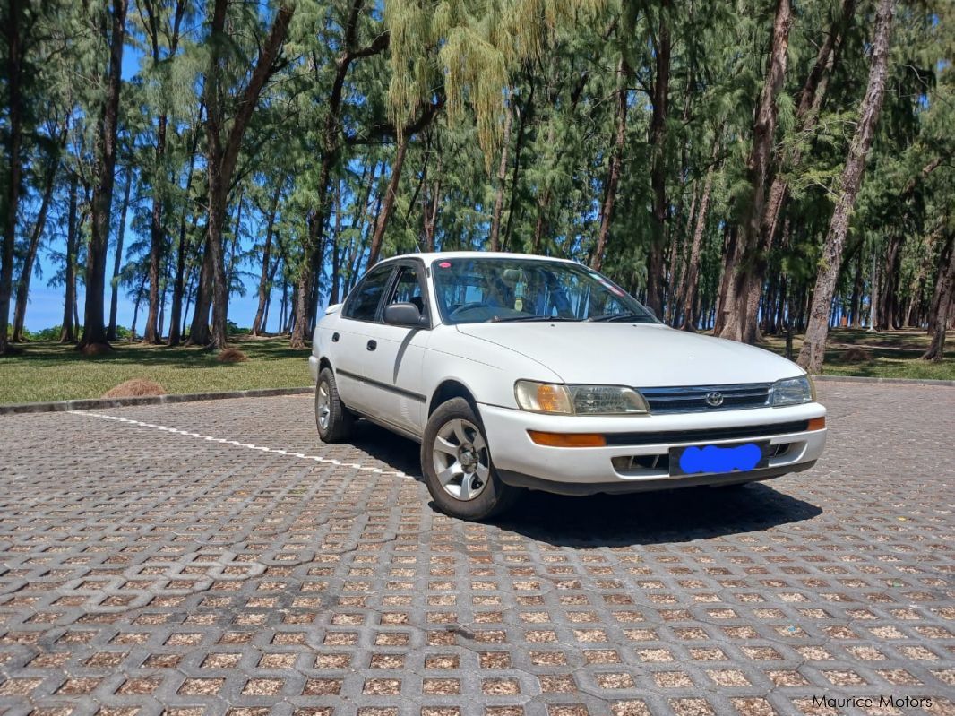 Toyota Corolla e100 in Mauritius