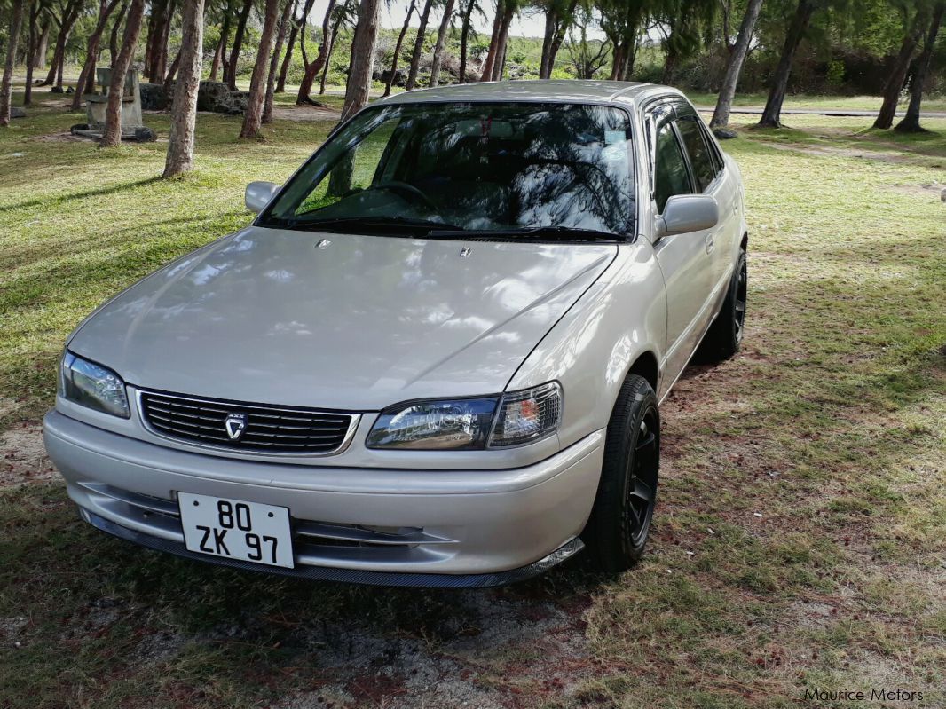 Toyota Corolla in Mauritius