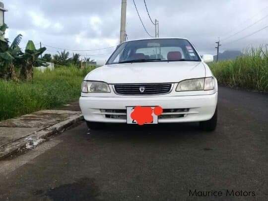 Toyota Corolla in Mauritius