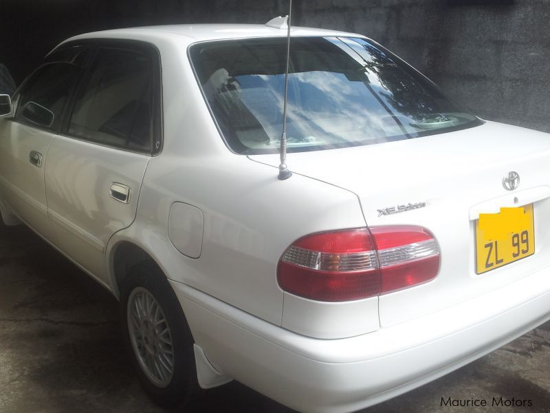 Toyota Corolla in Mauritius