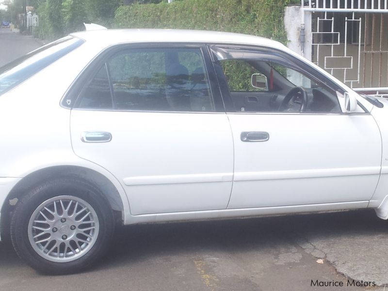 Toyota Corolla in Mauritius