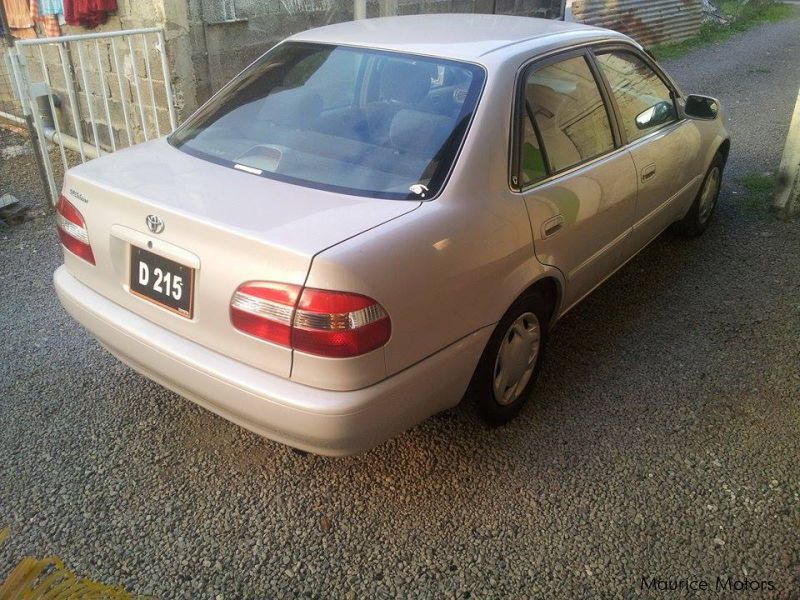 Toyota Corolla in Mauritius
