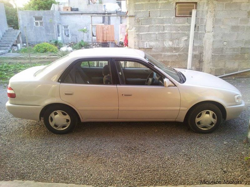 Toyota Corolla in Mauritius