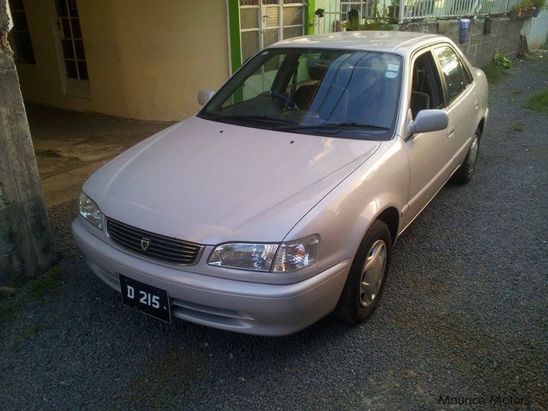 Toyota Corolla in Mauritius