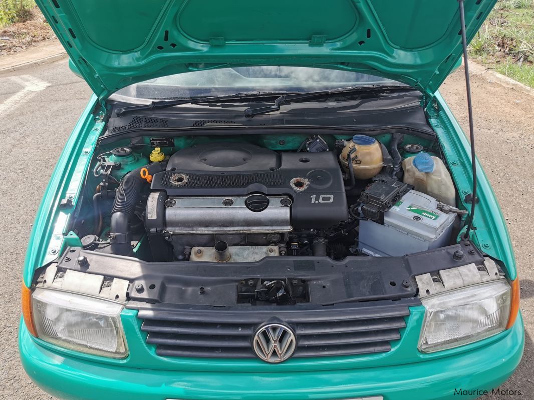 Volkswagen Polo in Mauritius