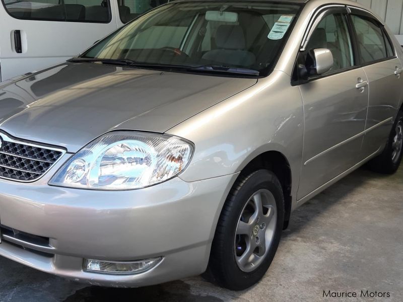 Toyota COROLLA - SILVER in Mauritius