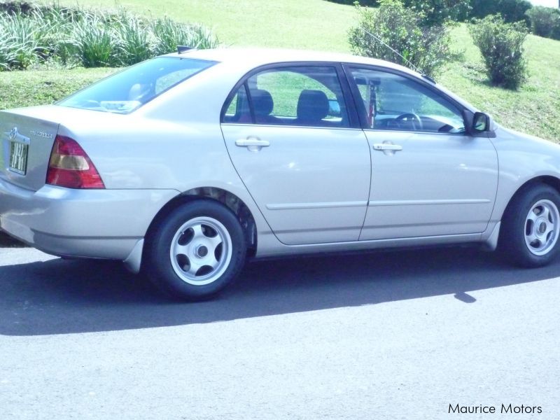 Used Toyota Corolla NZE 121 2001 Corolla NZE 121 for sale Royal
