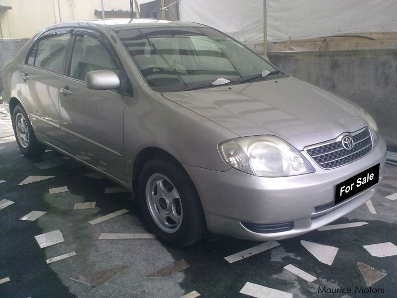 Used Toyota Corolla NZE 121 2001 Corolla NZE 121 for sale Union