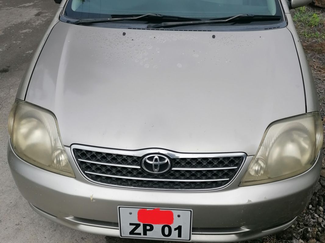 Toyota Corolla NZE 121 in Mauritius