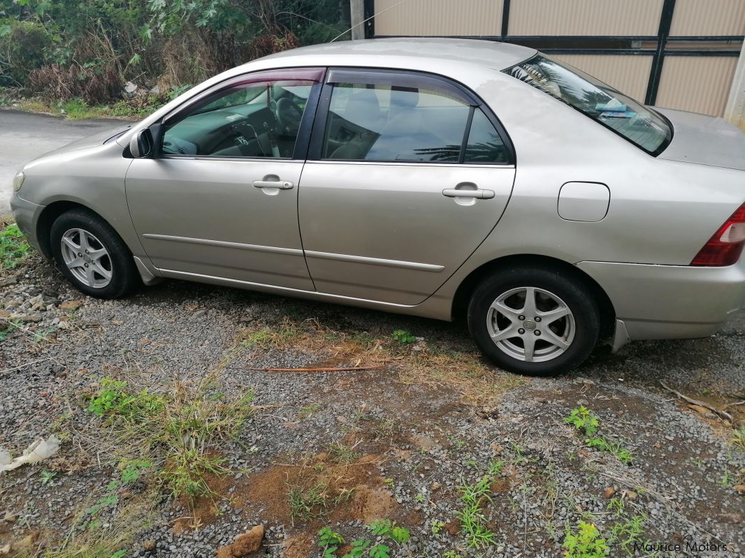 Toyota Corolla NZE 121 in Mauritius