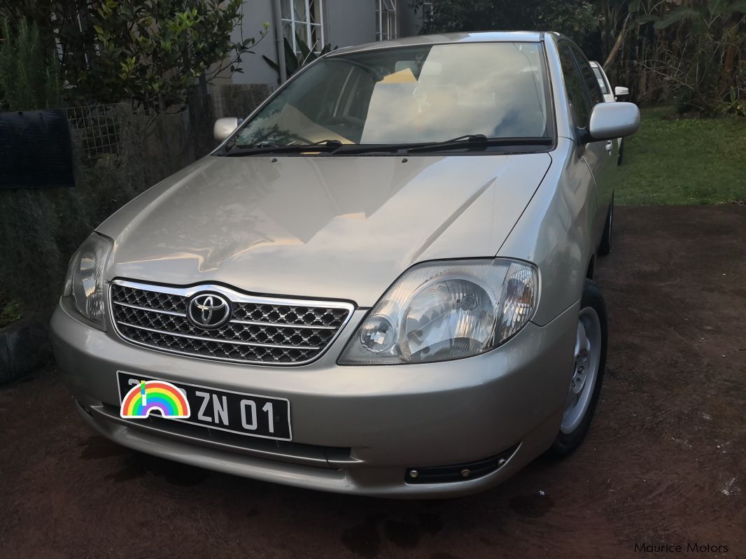 Toyota Corolla NZE in Mauritius