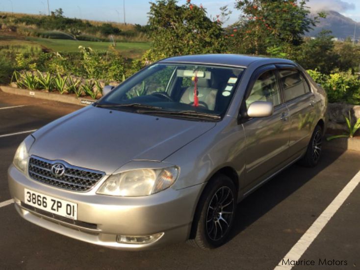 Toyota Corolla NZE in Mauritius