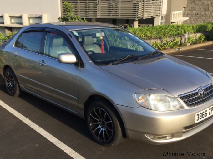 Toyota Corolla NZE in Mauritius