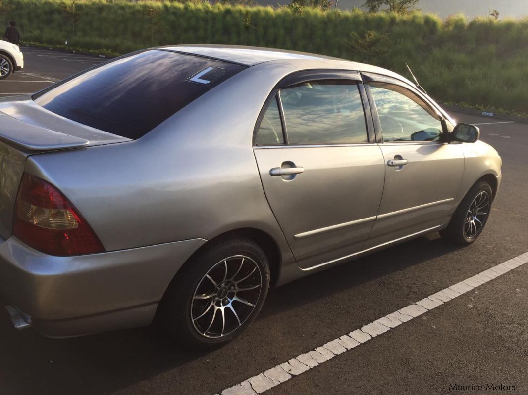 Toyota Corolla NZE in Mauritius