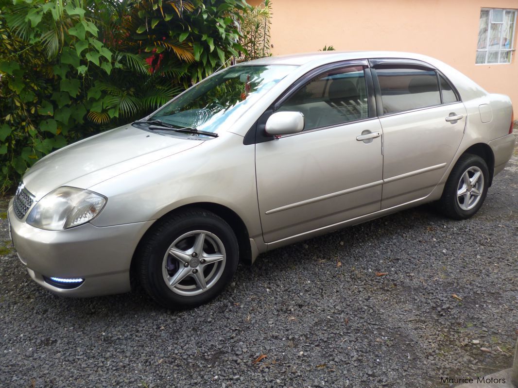 Toyota Corolla in Mauritius