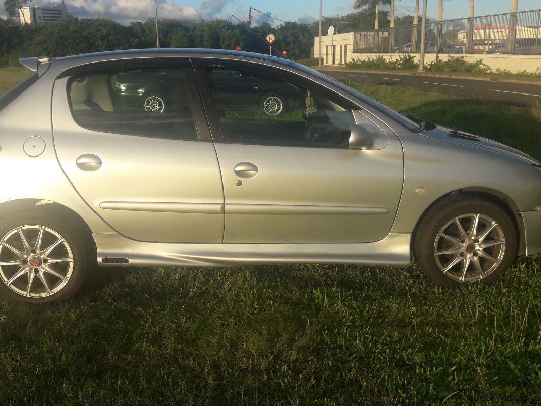 Used Peugeot 206  2002 206 for sale  Engrais Martial 