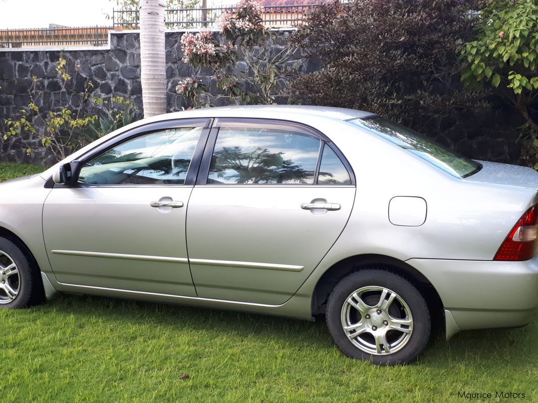 Used Toyota Corolla NZE 121 2002 Corolla NZE 121 for sale Lalmatie