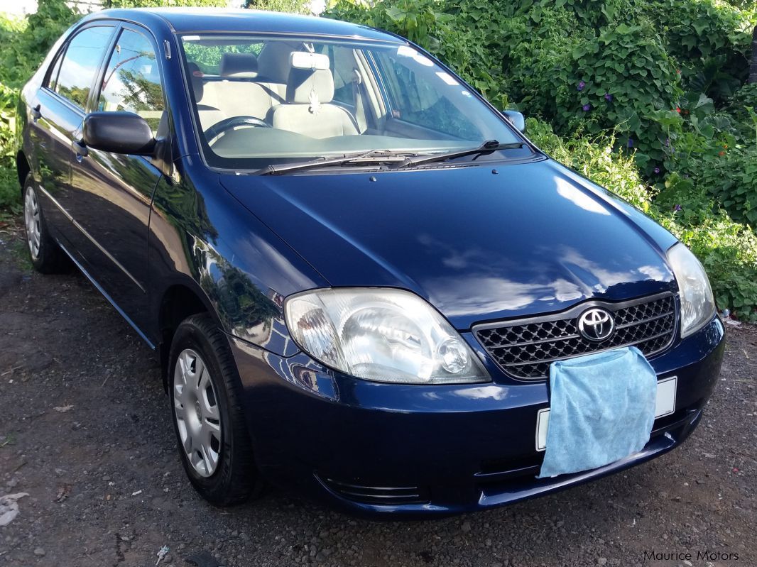 Toyota Corolla NZE in Mauritius