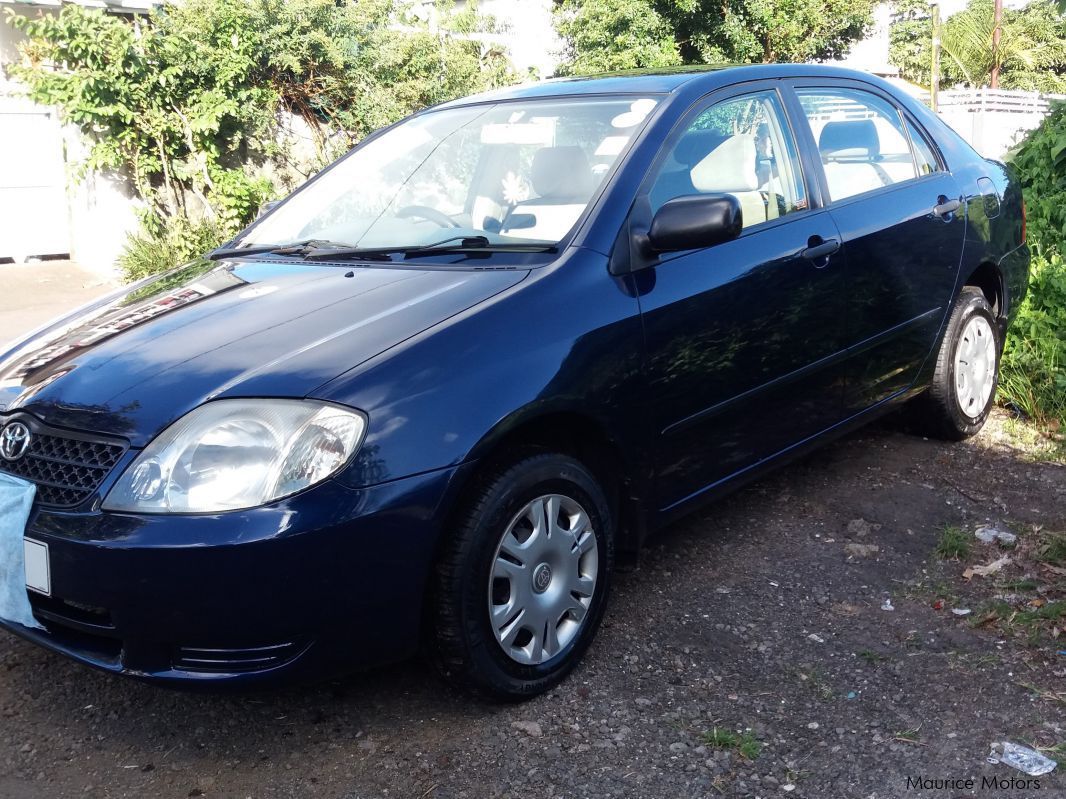 Toyota Corolla NZE in Mauritius