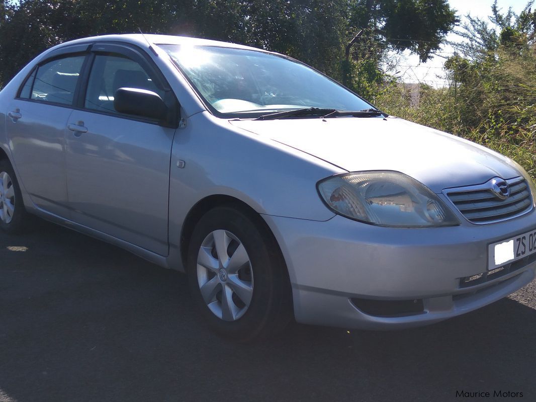 Toyota Corolla NZE in Mauritius