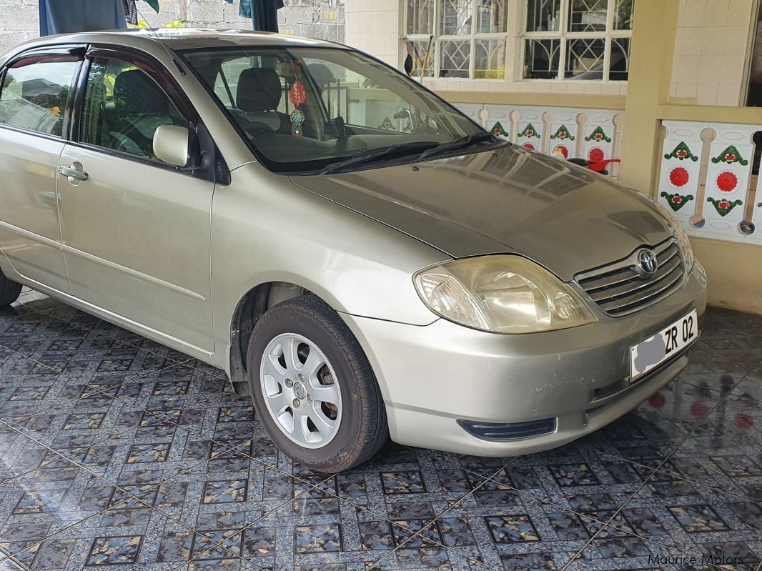 Toyota Corolla NZE in Mauritius