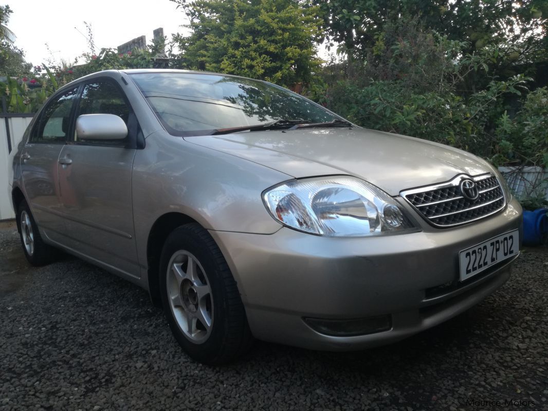 Toyota Corolla in Mauritius