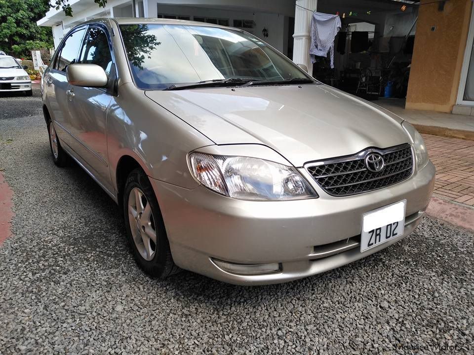 Toyota Corolla in Mauritius