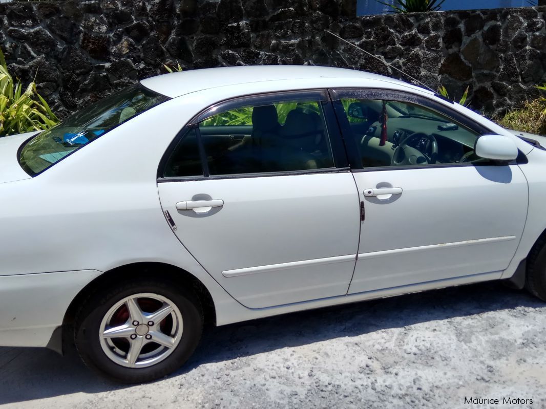 Toyota NZE Corolla in Mauritius