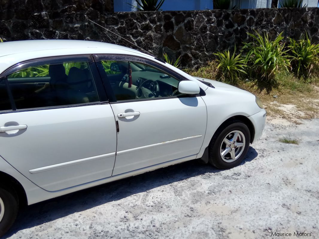 Toyota NZE Corolla in Mauritius