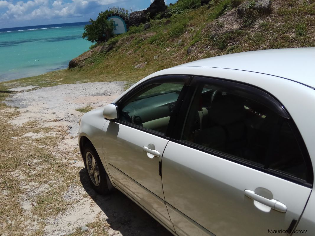 Toyota NZE Corolla in Mauritius