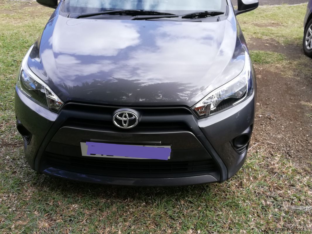 Nissan Hardbody Predator in Mauritius