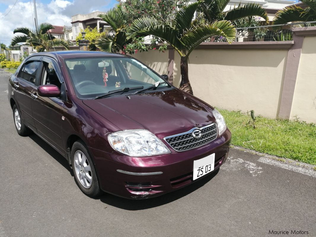 Toyota Corolla nze in Mauritius