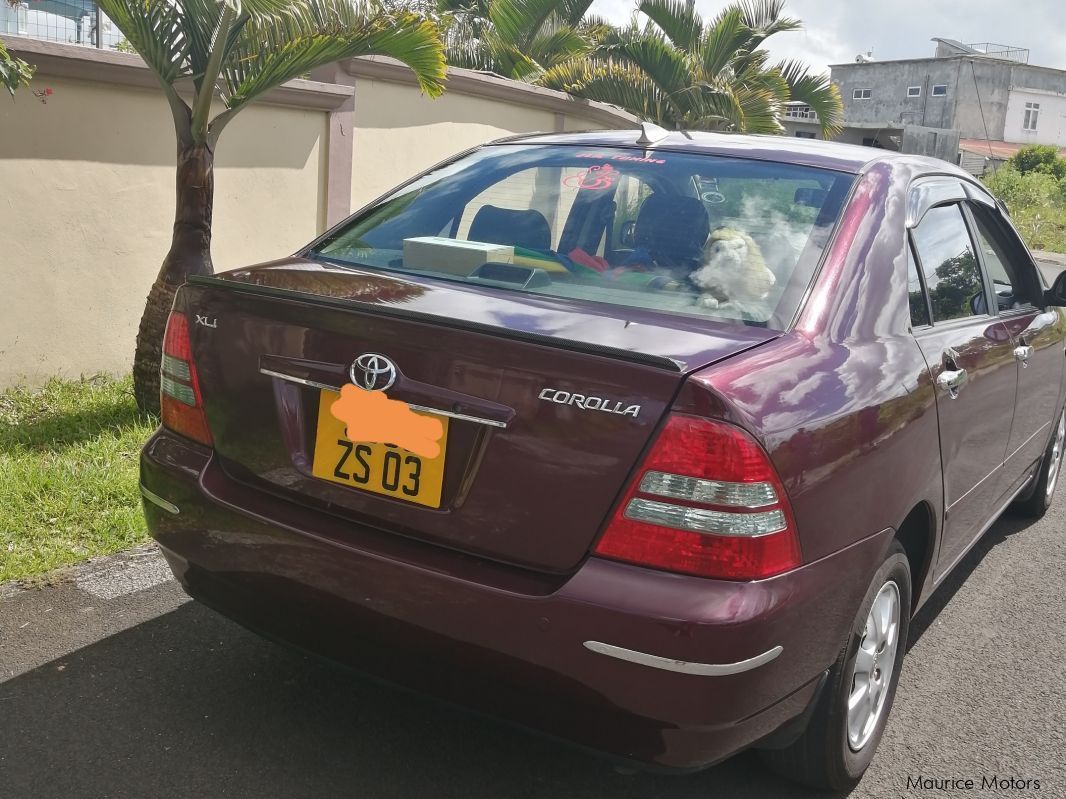 Toyota Corolla nze in Mauritius