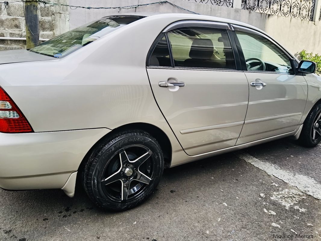 Toyota Corolla nze in Mauritius