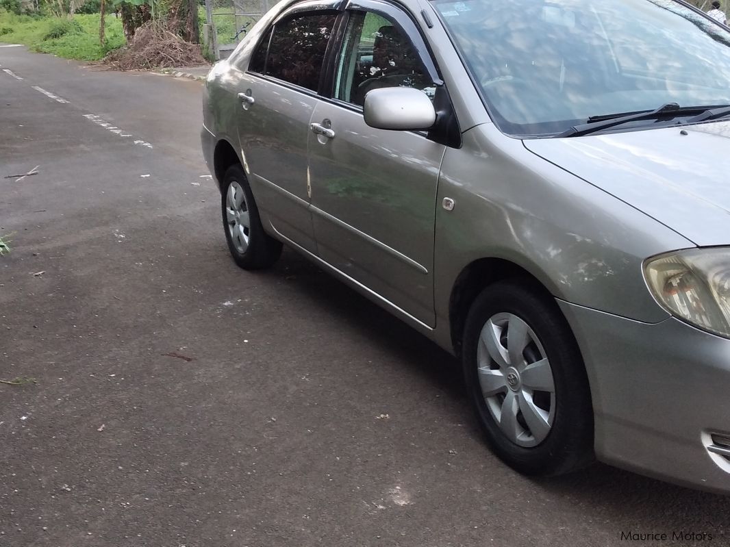 Toyota Corolla in Mauritius