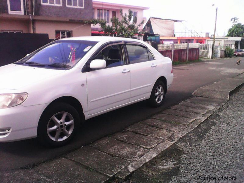 Used Toyota NZE 2003 NZE for sale La flora Toyota NZE sales