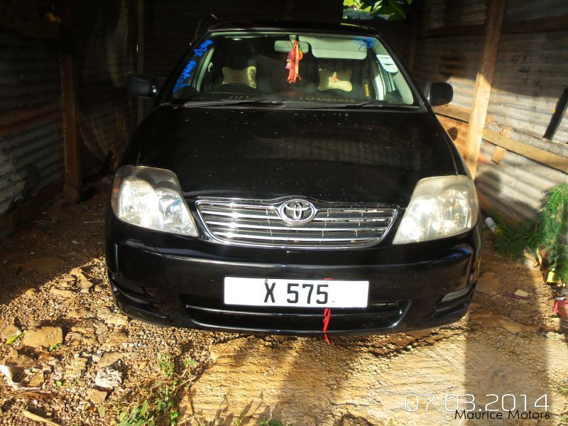 Used Toyota corolla NZE 2003 corolla NZE for sale Albion Rd Petite
