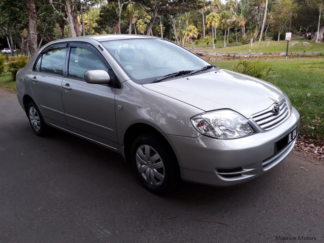 Toyota Corolla in Mauritius