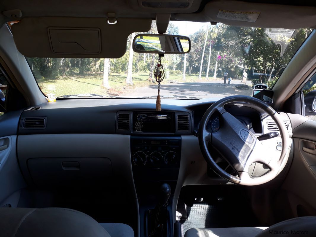 Toyota Corolla in Mauritius